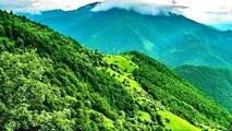 تغییر نام منطقه حفاظت شده دیزمار به شهید جمهور