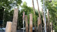 احیای درختان خیابان ولیعصر با کاشت درختان 10 ساله