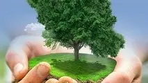 شهروندان با رعایت اخلاقِ طبیعت‌گردی در حفظ محیط زیست تلاش کنند