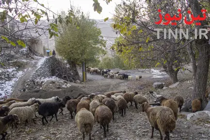 زندگی در منطقه زیبای جلفا