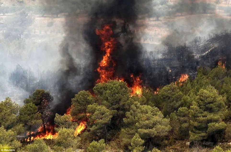 افزایش تعداد آتش‌سوزی‌های جنگلی در سال ۹۸