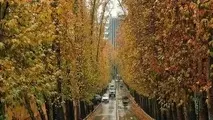تشدید بارش‌ های امروز در سه استان کشور
