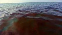USCG sets safety zone after dielectric fluid spill