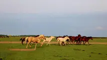 پارک ملی بوجاق بندر کیاشهر