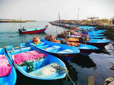 سیراف 6
