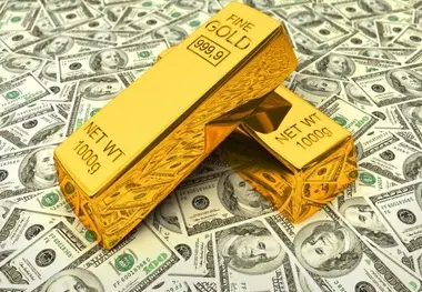 واردات ارز مجاز شد

