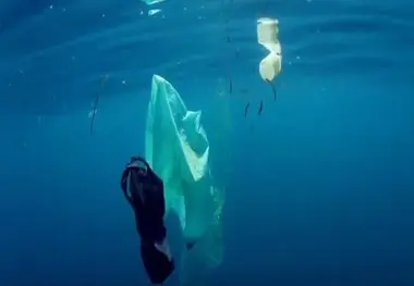 MOL partners with JAMSTEC on marine plastic survey