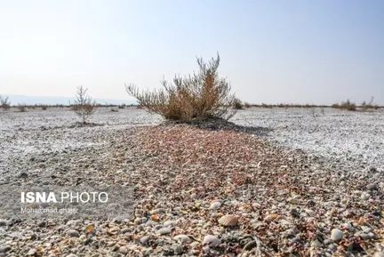 میانکاله 