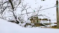 روستاهای کمران و گوکان فریدونشهر درمحاصره برف