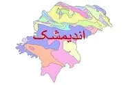وعده تکمیل تقاطع اندیمشک در استان خوزستان تا پایان سال ۱۴۰۴