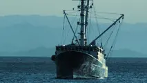 Japan, Toyota to build fishing boat powered with hydrogen fuel cells