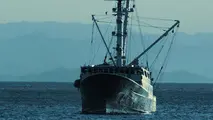 Japan, Toyota to build fishing boat powered with hydrogen fuel cells