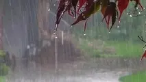 بشنوید | بارش باران در نواحی جنوبی کشور