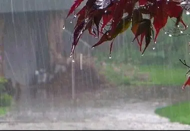بشنوید | بارش باران در نواحی جنوبی کشور