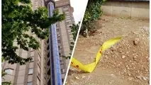 دبیر اول سفارت سوئیس در ایران،خودکشی کرده است؛جسدم را بسوزانید/عکس