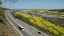 ایمنی راهها پیش‌نیازکاهش تلفات جاده ای 