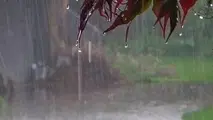 بارش شدید باران در ۸ استان کشور