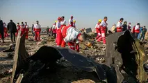 «باور داریم به عنوان سپر انسانی هواپیما را زدند»