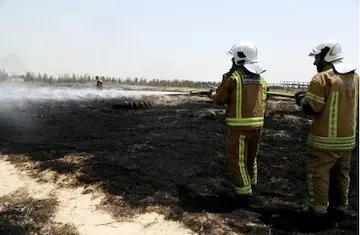 آتش سوزی علفزار اراضی شمالی شهر فرودگاهی امام خمینی(ره) مهار شد 