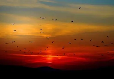 چرا گاهی آسمان قرمز می‌شود؟ 