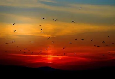 چرا گاهی آسمان قرمز می‌شود؟ 