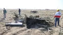 5 کشور درگیر حادثه سقوط هواپیما خواستار دریافت غرامت شدند
