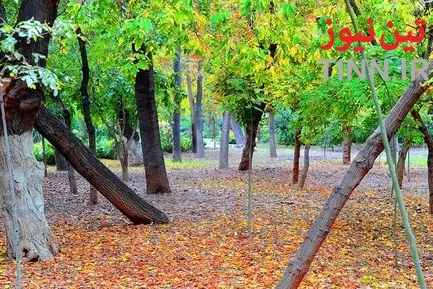 پاییز در تهران