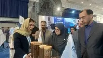  سخنگوی دولت: دانش‌ بنیان‌ ها موتور محرک اقتصاد دریامحور می‌ شوند