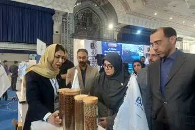  سخنگوی دولت: دانش‌ بنیان‌ ها موتور محرک اقتصاد دریامحور می‌ شوند