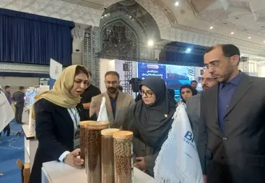  سخنگوی دولت: دانش‌ بنیان‌ ها موتور محرک اقتصاد دریامحور می‌ شوند