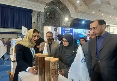  سخنگوی دولت: دانش‌ بنیان‌ ها موتور محرک اقتصاد دریامحور می‌ شوند