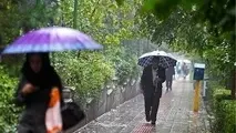 افزایش نسبی دما در نیمه شمالی کشور