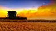  صدور کارت سوخت برای مالکان ماشین‌های کشاورزی ۳ استان آغاز شد 