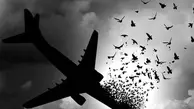 سقوط هواپیمای اوکراینی همچنان مهمترین مسئله کاربران توئیتر
