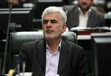 خودکفایی گندم در کارنامه حجتی می‌درخشد/ نقاط منفی به خاطر نبود اعتبارات است