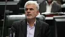 خودکفایی گندم در کارنامه حجتی می‌درخشد/ نقاط منفی به خاطر نبود اعتبارات است