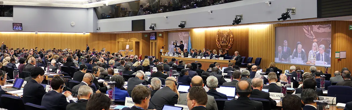 IMO Secretary-General outlines challenges facing the Organization 