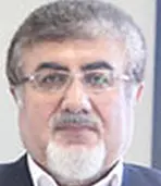 حمزه علی بخشی