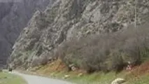 ۷۴ درصد راههای روستایی البرز آسفالت شد / ۳۰ میلیارد تومان هزینه برای آسفالت بزرگراههای البرز