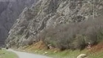 ۷۴ درصد راههای روستایی البرز آسفالت شد / ۳۰ میلیارد تومان هزینه برای آسفالت بزرگراههای البرز
