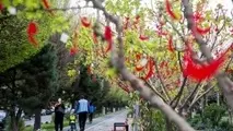 شهرداری تهران با بهره گیری از اتوبوس‌های دو طبقه گردشگری به استقبال از بهار می‌رود