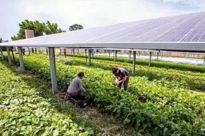 فرصتی استثنایی در همزمانی دو ابر بحران آب و برق/ راهکاری برای رفع بحران ناترازی ها 