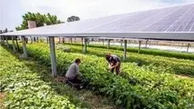 فرصتی استثنایی در همزمانی دو ابر بحران آب و برق/ راهکاری برای رفع بحران ناترازی ها 