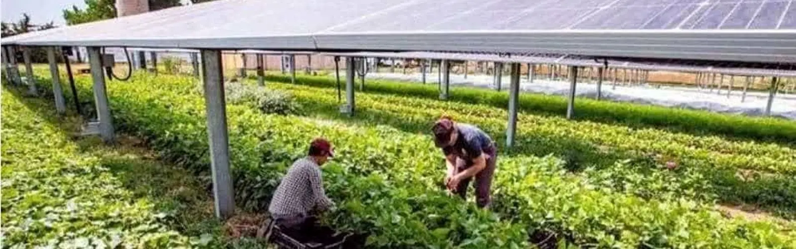 فرصتی استثنایی در همزمانی دو ابر بحران آب و برق/ راهکاری برای رفع بحران ناترازی ها 