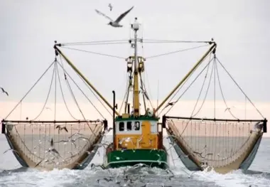  Reducing the risk of collisions with fishing vessels