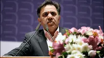 مجلس و دولت برای تشکیل بنگاه‌های بزرگ‌مقیاس در عرصه بین‌المللی مصمم شوند