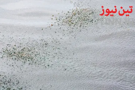 عملیات پاکسازی جزیره خارگ از آلودگی نفتی