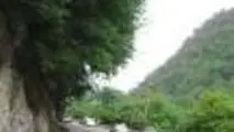 تلفات جاده‌ای گیلان ۷۰ درصد کاهش یافت