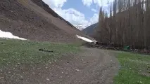 تهران از هفتم مهر سرد می‌شود