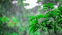 هشدار نارنجی برای رگبار باران در تهران، البرز، گیلان و مازندران